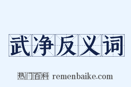 武净反义词是什么意思的图片